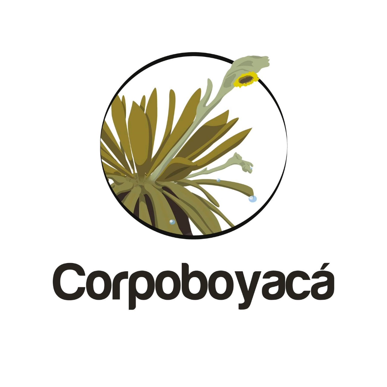 Corpoboyaca-025